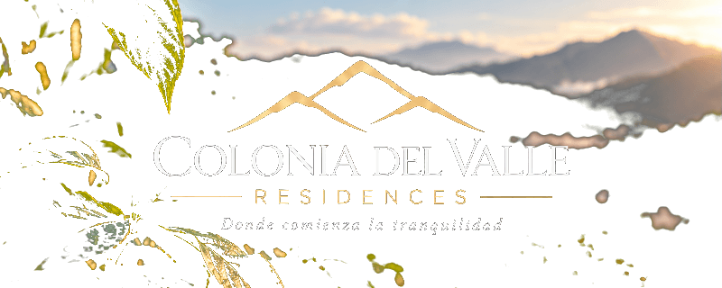 Colonia del Valle